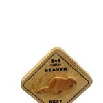 Beaver Magnet