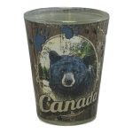 Bear & Paws Shot Glass