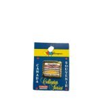British Columbia Flag Pin
